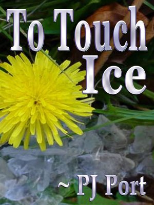 cover image of To Touch Ice